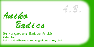 aniko badics business card