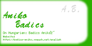 aniko badics business card